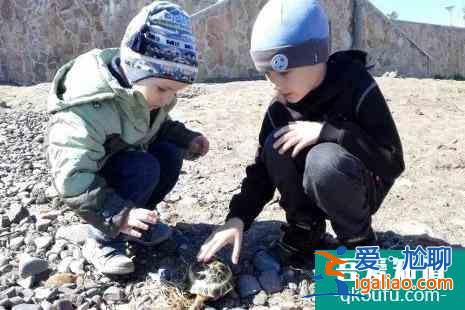 冬季海參崴有什么好玩的? 冬季海參崴有什么好玩的?