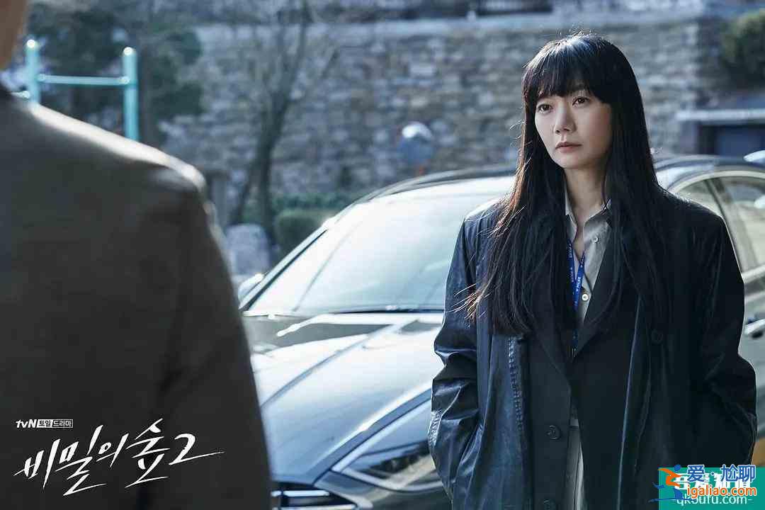 曹承佑、裴斗娜《秘密森林2》再攜手，今年最棒的懸疑劇來了？