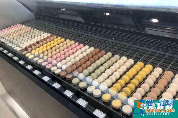 北京羅紅攝影藝術館游玩攻略 北京家高顏值藝術館？