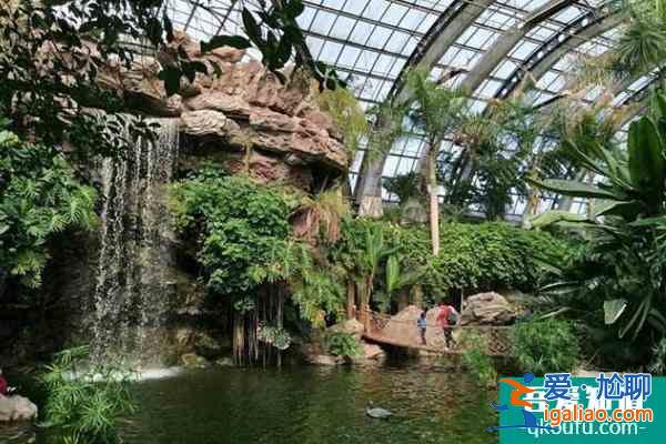 2021天津熱帶植物觀光園門票多少錢？