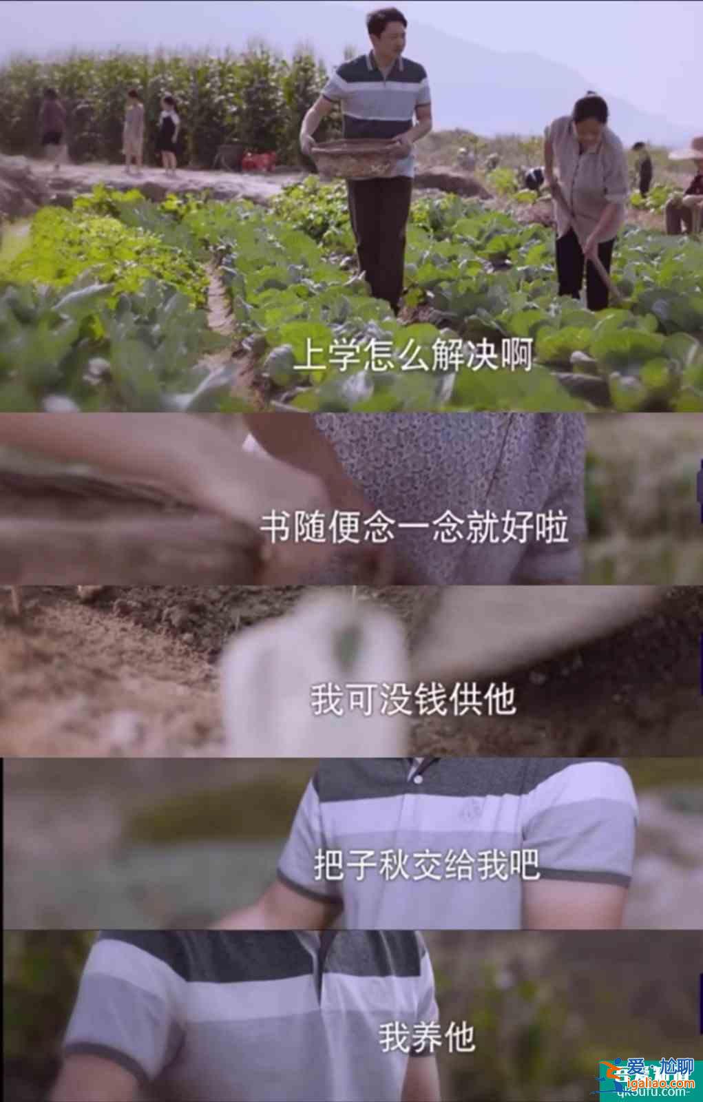 《以家人之名》賀子秋喜歡李尖尖？不，他只是缺少這樣?xùn)|西罷了？