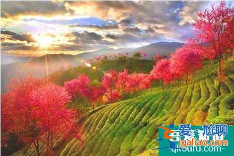 冬季云南旅游景點(diǎn)大全？