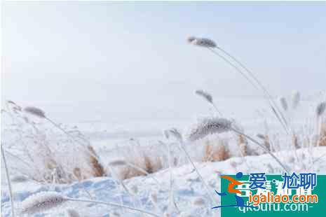 冬季長白山旅游攻略(附門票優惠信息和游玩攻略)? 冬季長白山旅游攻略(附門票優惠信息和游玩攻略)?