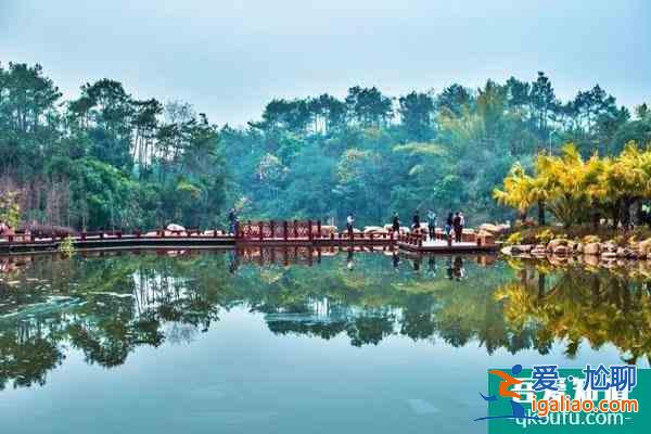 2021神光山國家森林公園門票預約流程及開放時間？