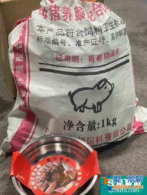 寧靜送豬飼料大禮包 網友笑侃：重出江湖真有寧的？