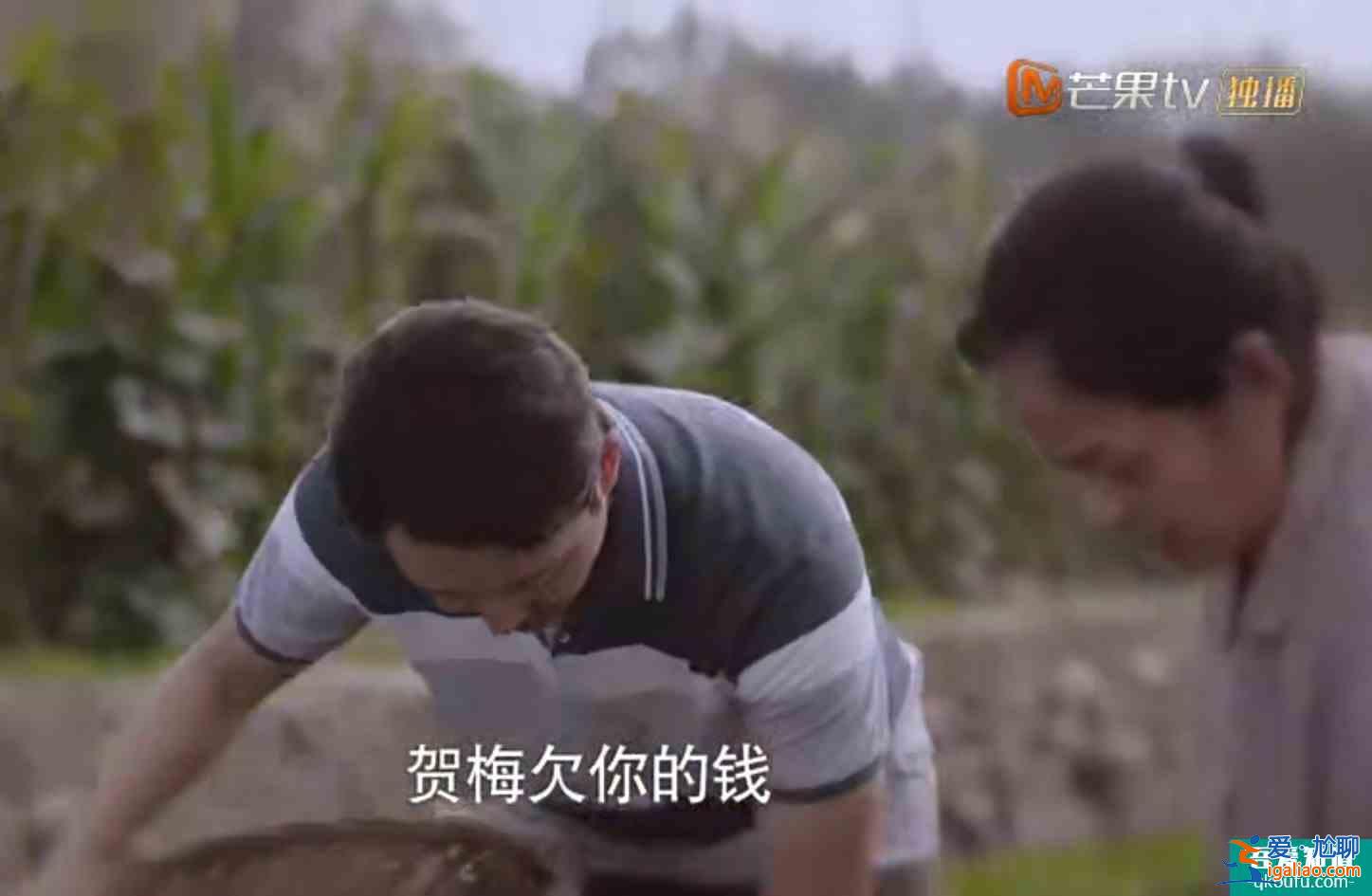 《以家人之名》子秋外婆說嫁得不好認命,怪不得賀梅拋棄子秋? 《以家人之名》子秋外婆說嫁得不好認命,怪不得賀梅拋棄子秋?