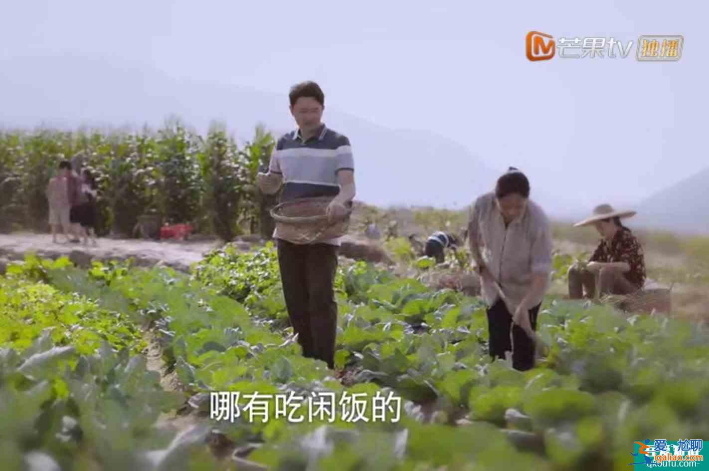 《以家人之名》子秋外婆說嫁得不好認命,怪不得賀梅拋棄子秋? 《以家人之名》子秋外婆說嫁得不好認命,怪不得賀梅拋棄子秋?