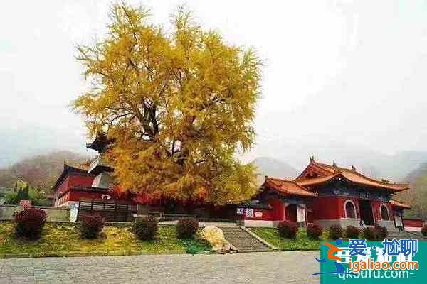 禹州大鴻寨好玩嗎 禹州大鴻寨景點推薦？