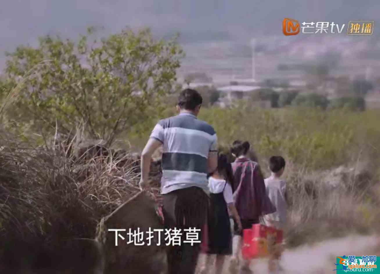 《以家人之名》子秋外婆說嫁得不好認命,怪不得賀梅拋棄子秋? 《以家人之名》子秋外婆說嫁得不好認命,怪不得賀梅拋棄子秋?