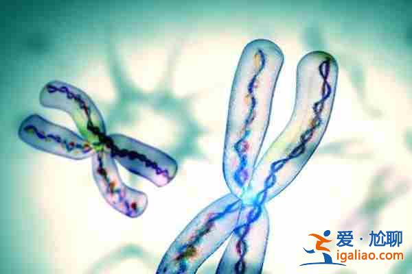 今日熱點〖地下試管嬰兒遇詐騙〗新聞聯播分享相關介紹? 今日熱點〖地下試管嬰兒遇詐騙〗新聞聯播分享相關介紹?