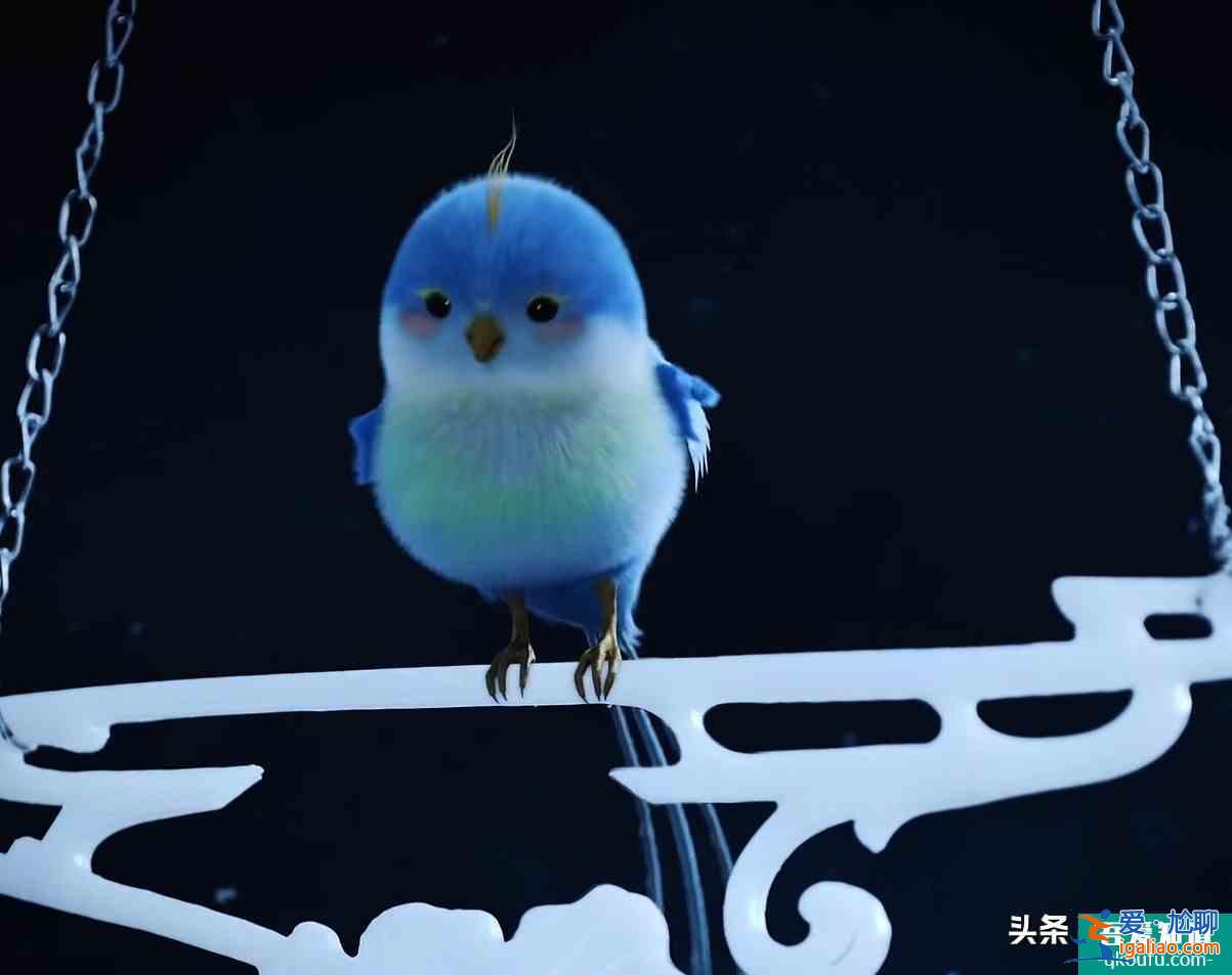 《且聽鳳鳴》吸引我的居然是一只鳥?? 《且聽鳳鳴》吸引我的居然是一只鳥??