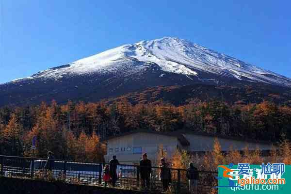 2021受奧密克戎影響多國調(diào)整入境政策? 2021受奧密克戎影響多國調(diào)整入境政策?