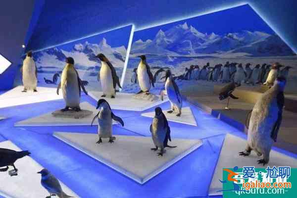 2021天津國家海洋博物館門票預約及收費門票價格？