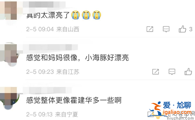 霍建華林心如女兒正臉照曝光 一家三口罕見同框 女兒太像霍建華