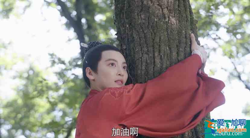 《女世子》里哥哥妹妹同時愛上一個人，原來他才是新晉“蠱王”？