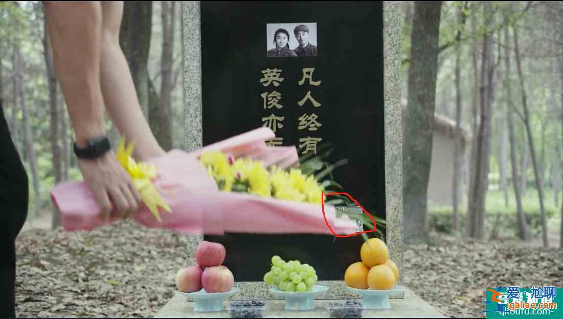 無厘頭劇情適配奇葩人設，吐槽怪誕生活劇《生活像陽光一樣燦爛》？