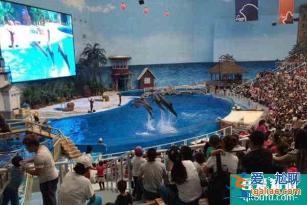 2021天津海昌極地海洋公園雙十二門票優(yōu)惠活動? 2021天津海昌極地海洋公園雙十二門票優(yōu)惠活動?