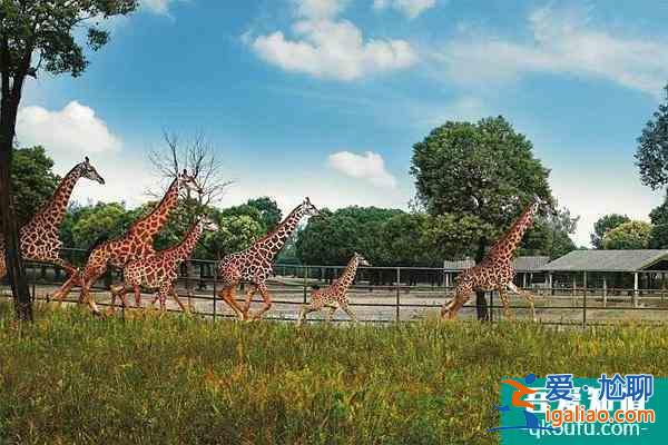 蘭州野生動物園恢復開園時間以及冬季暖心門票持續時間介紹？