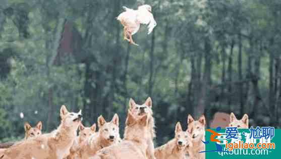 成毅等到了《琉璃》！一個藝人的崛起，就是這么簡單？