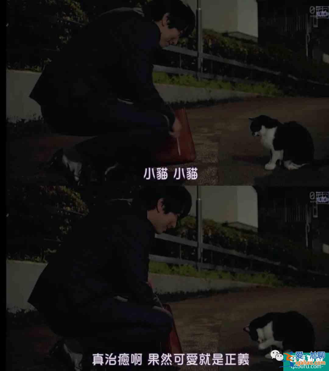 《秘密森林2》終于開播，私心推薦一波張弛有度的追劇清單？