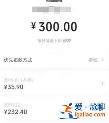 親屬卡能看到消費明細內容嗎？