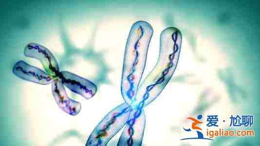 廣而告之> 上海做試管嬰兒費用大約多少_新聞30分? 廣而告之> 上海做試管嬰兒費用大約多少_新聞30分?