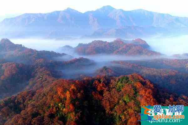 2022光霧山春節營業時間 光霧山旅游區開閉園時間公告？