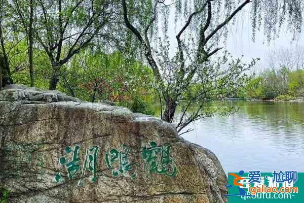 2022揚州茱萸灣春節開放嗎 有哪些活動? 2022揚州茱萸灣春節開放嗎 有哪些活動?