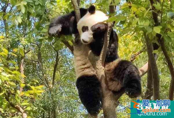 2022揚州茱萸灣春節開放嗎 有哪些活動? 2022揚州茱萸灣春節開放嗎 有哪些活動?