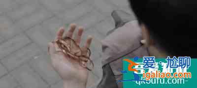 兩集死八人，這部韓劇太上頭？