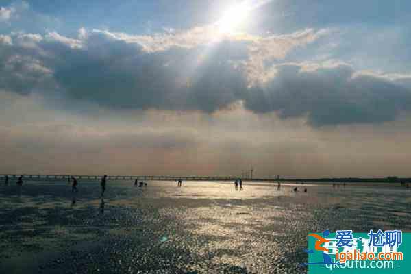 上海天空之境沙灘封閉至2022年5月30日？