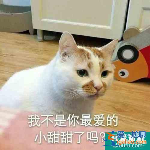 “二十不惑”，勇敢無畏，“三十而已”是未來可期？