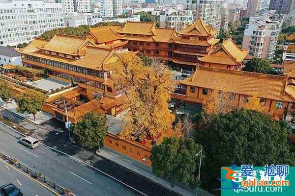 上海奉賢區(qū)冬日旅游景點推薦？