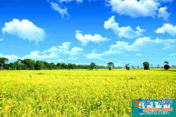 2021上海新評定1家4A級景區 4家3A級景區？