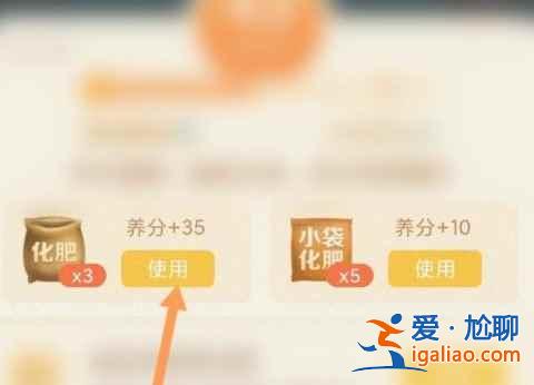 拼多多果樹進入衰老期怎樣恢復？