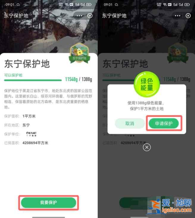 支付寶東寧保護(hù)地去哪領(lǐng)？