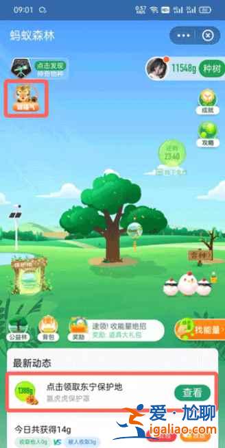 支付寶東寧保護(hù)地去哪領(lǐng)？
