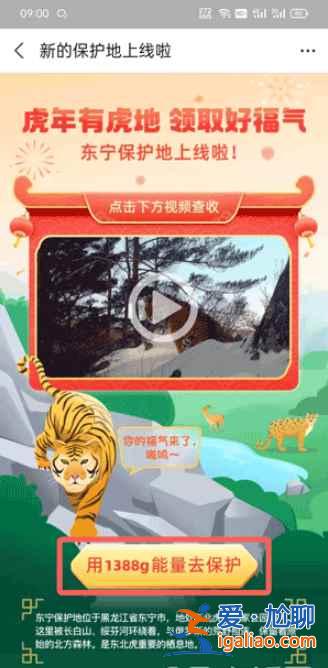 支付寶東寧保護(hù)地去哪領(lǐng)？