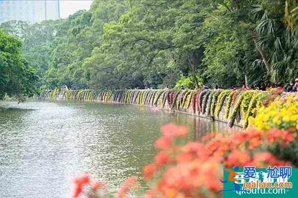 張吉懷高鐵什么時(shí)候通車 乘高鐵景區(qū)門票半價(jià)? 張吉懷高鐵什么時(shí)候通車 乘高鐵景區(qū)門票半價(jià)?