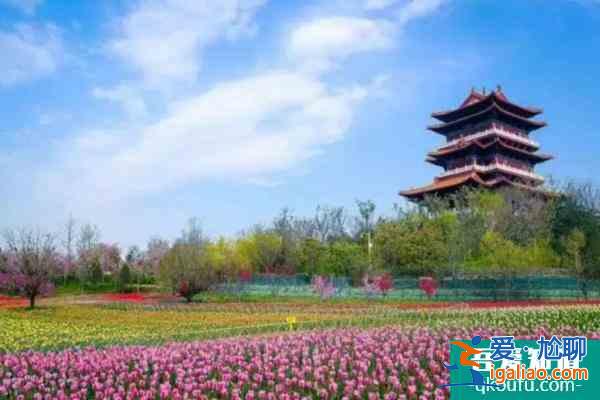2021鄭州園博園什么時候開放怎么預約？