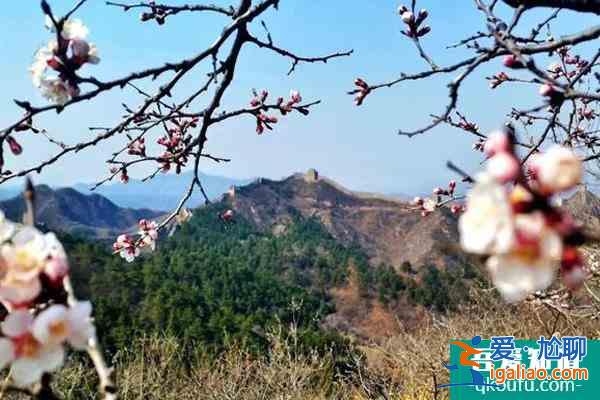金山嶺長城年票去哪辦?多少錢?? 金山嶺長城年票去哪辦?多少錢??