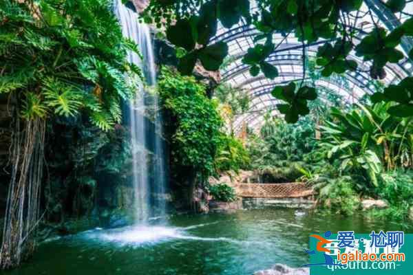 2021天津熱帶植物園門票優惠政策？