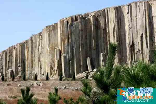 硅化木石林園門票地址及介紹？