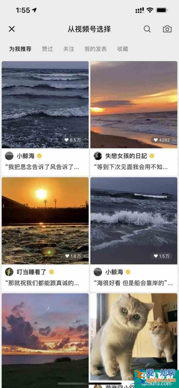 微信開始支持把視頻設置為朋友圈封面？