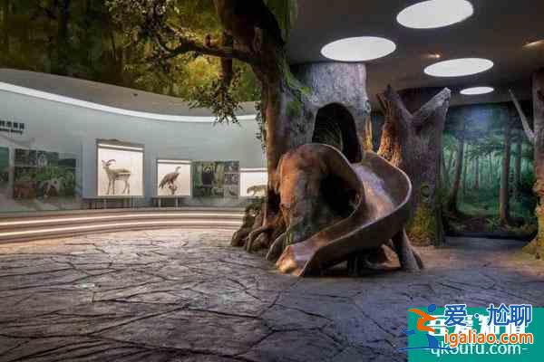 2021成都大熊貓博物館今天起對外恢復(fù)開放？