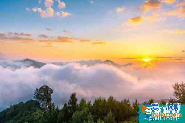 2021白石山景區門票價格及電話？