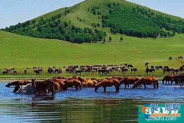 2021受疫情影響內蒙古暫停跨省團隊旅游？