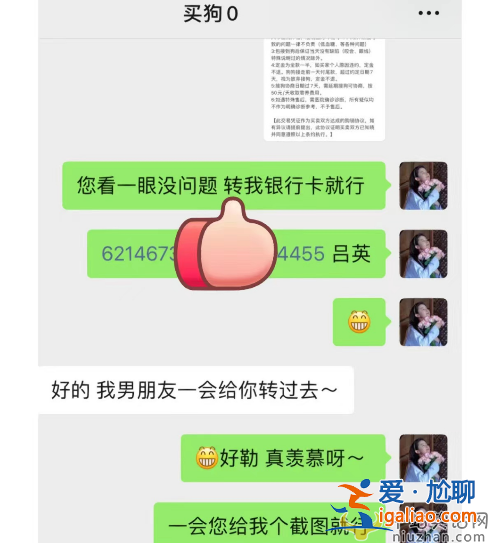 王思聰最新情況!花四萬(wàn)五買(mǎi)狗討好小肉安 雙方感情穩(wěn)定讓人羨慕 王思聰最新情況!花四萬(wàn)五買(mǎi)狗討好小肉安 雙方感情穩(wěn)定讓人羨慕