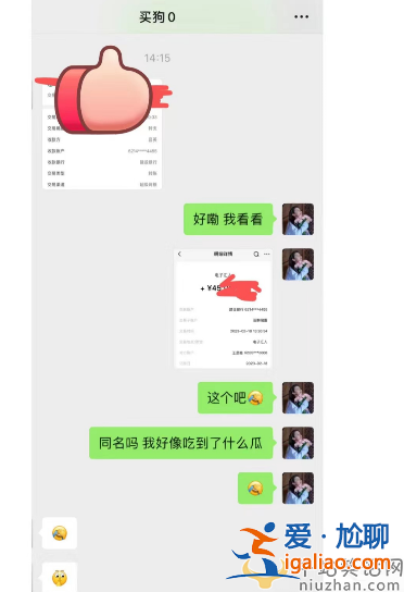 王思聰最新情況!花四萬(wàn)五買(mǎi)狗討好小肉安 雙方感情穩(wěn)定讓人羨慕 王思聰最新情況!花四萬(wàn)五買(mǎi)狗討好小肉安 雙方感情穩(wěn)定讓人羨慕