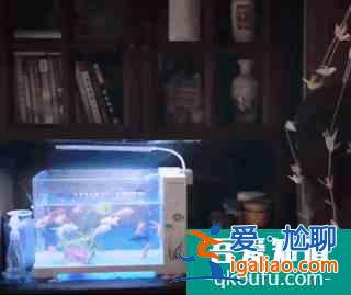 《以家人之名》左手宋威龍右手張新成，被寵上天的譚松韻太幸福？